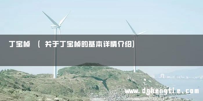 丁宝桢 (关于丁宝桢的基本详情介绍)